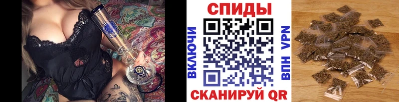 закладка  Циолковский  Бутират 99% 