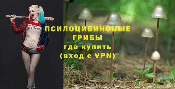 героин Бородино